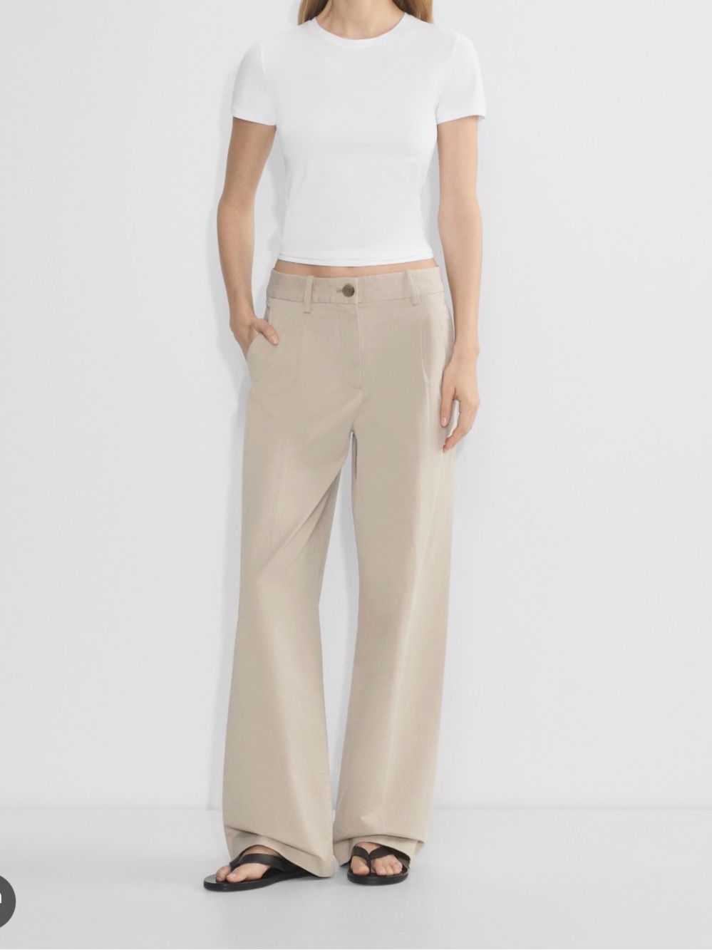 Aritzia High-rise wide-leg pleated chino pants - Washed Tundra Taupe